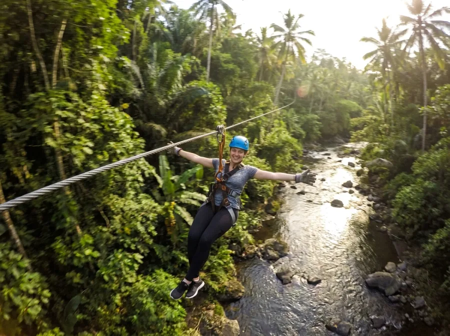 Canopy zipline